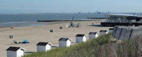 Strandparel 381